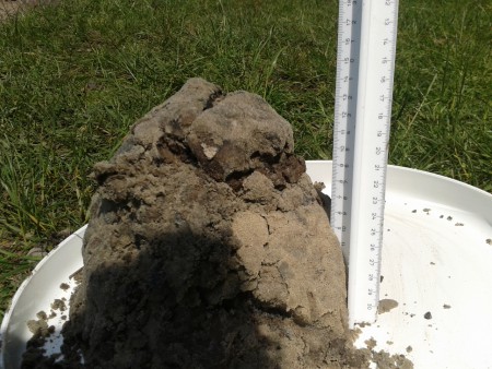 Onze grond met liniaal